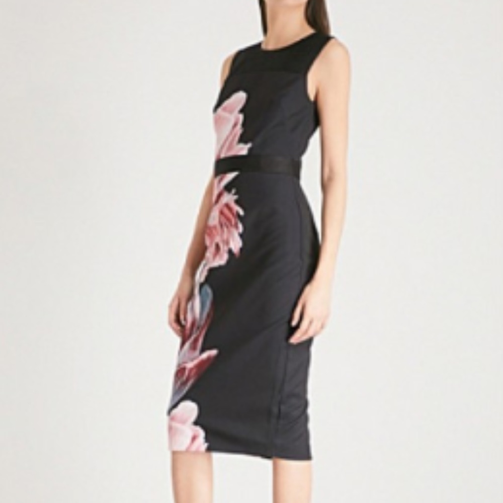 Ted Baker Xanadu Tranquility Sheer Dress